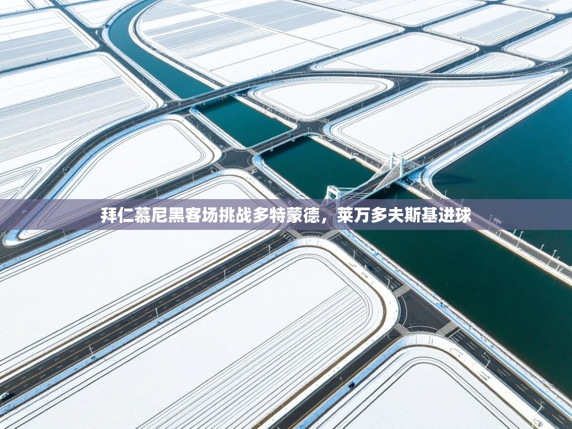 拜仁慕尼黑客场挑战多特蒙德,莱万多夫斯基进球 第1张