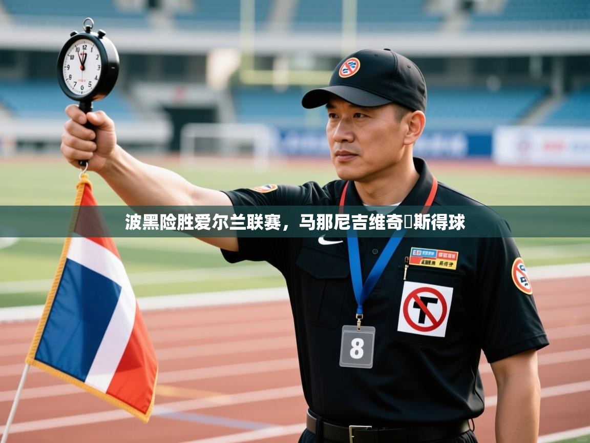 波黑险胜爱尔兰联赛，马那尼吉维奇陽斯得球