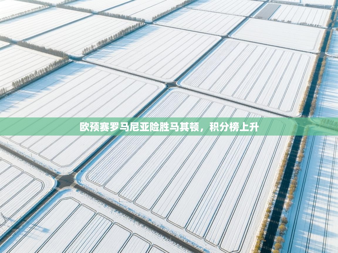 欧预赛罗马尼亚险胜马其顿，积分榜上升  第1张