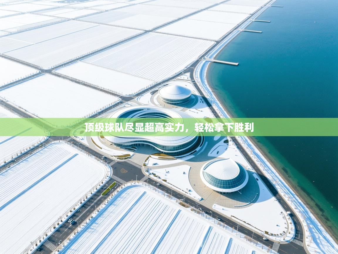 顶级球队尽显超高实力，轻松拿下胜利  第1张